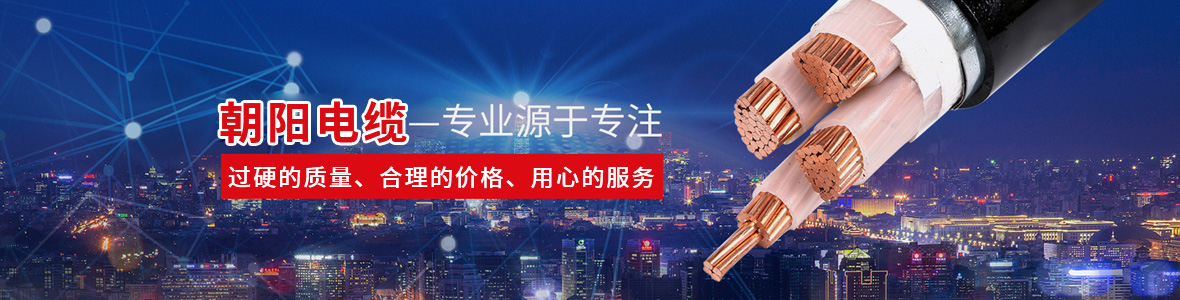 子页面大图广告